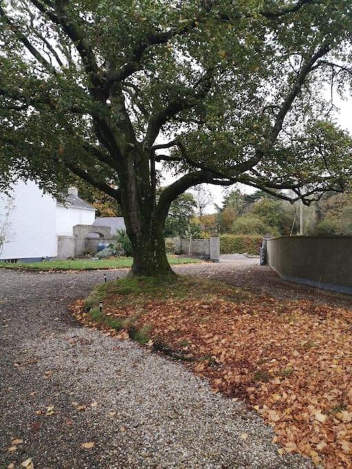 The Oak Studio-Kilpatrick Glebe, Pet Friendly ويكسفورد المظهر الخارجي الصورة